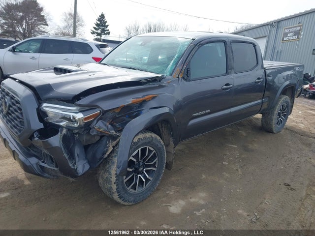 5TFDZ5BN4LX053535 Toyota Tacoma