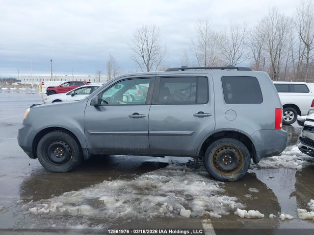 2013 Honda Pilot Exl მანქანა იყიდება აუქციონზე, vin: 5FNYF4H52DB504260, აუქციონის ნომერი: 12561976
