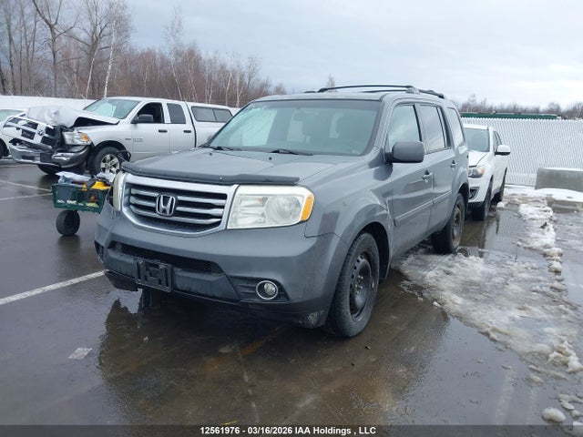 2013 Honda Pilot Exl მანქანა იყიდება აუქციონზე, vin: 5FNYF4H52DB504260, აუქციონის ნომერი: 12561976