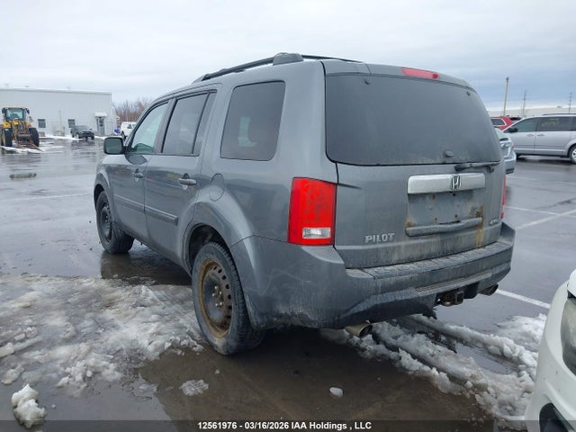 2013 Honda Pilot Exl მანქანა იყიდება აუქციონზე, vin: 5FNYF4H52DB504260, აუქციონის ნომერი: 12561976