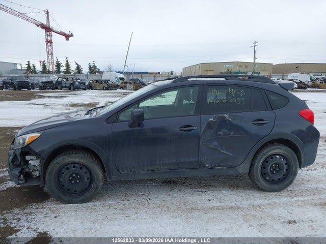 Aukcja sprzedaży 2014 Subaru Xv Crosstrek 2.0i Premium, vin: JF2GPAVC1E8282842, numer aukcji: 12562033
