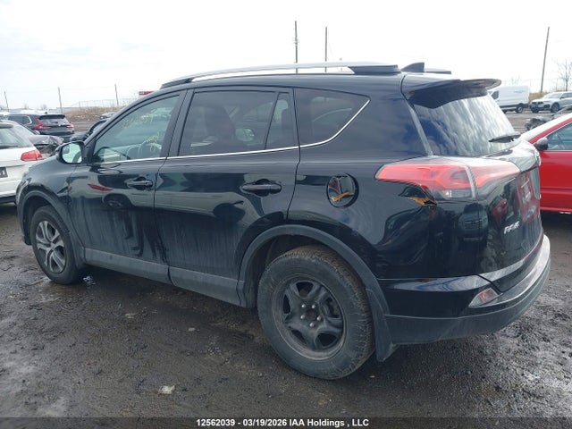 2017 Toyota Rav4 Le მანქანა იყიდება აუქციონზე, vin: 2T3ZFREV9HW343069, აუქციონის ნომერი: 12562039