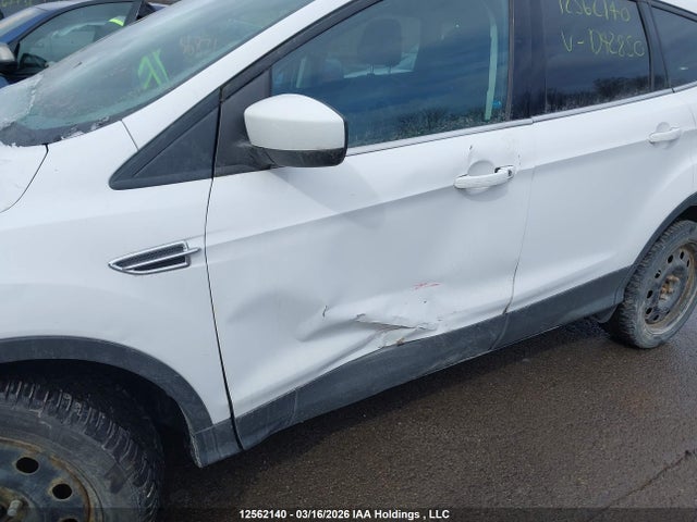 12562140 :رقم المزاد ، 1FMCU9GX8DUD42850 vin ، 2013 Ford Escape Se مزاد بيع