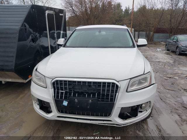 12562162 :رقم المزاد ، WA1CFCFP2DA003395 vin ، 2013 Audi Q5 2.0t مزاد بيع