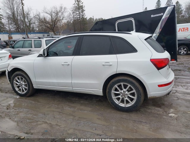 12562162 :رقم المزاد ، WA1CFCFP2DA003395 vin ، 2013 Audi Q5 2.0t مزاد بيع