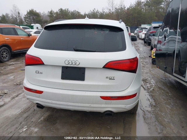 12562162 :رقم المزاد ، WA1CFCFP2DA003395 vin ، 2013 Audi Q5 2.0t مزاد بيع