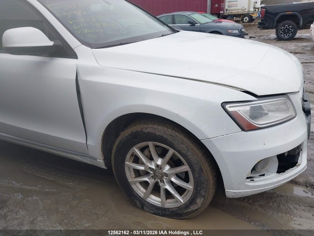 12562162 :رقم المزاد ، WA1CFCFP2DA003395 vin ، 2013 Audi Q5 2.0t مزاد بيع