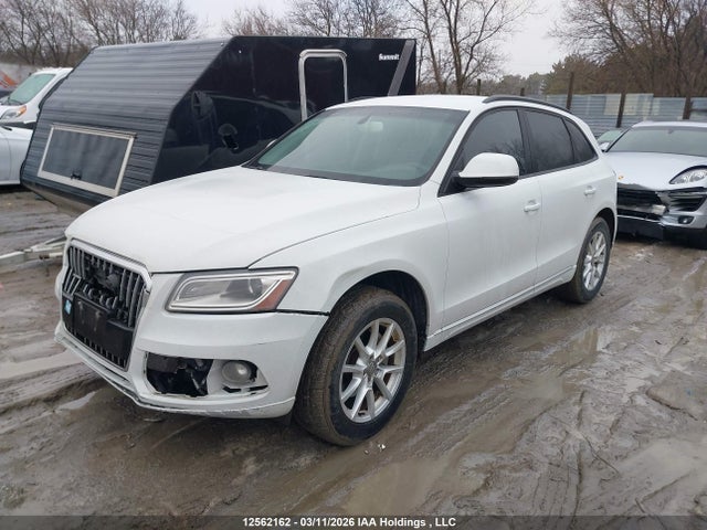 12562162 :رقم المزاد ، WA1CFCFP2DA003395 vin ، 2013 Audi Q5 2.0t مزاد بيع