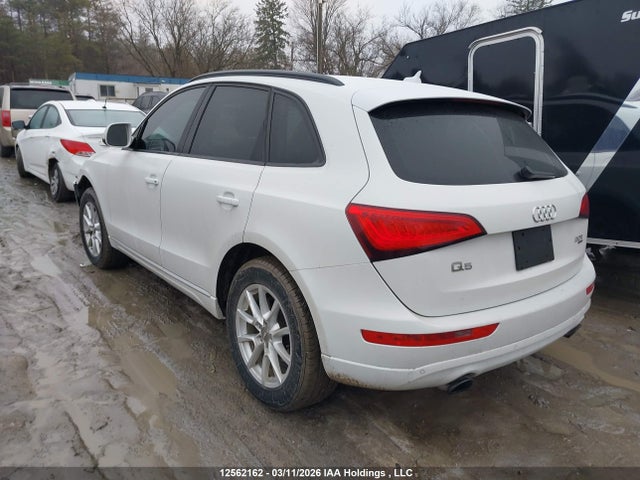 12562162 :رقم المزاد ، WA1CFCFP2DA003395 vin ، 2013 Audi Q5 2.0t مزاد بيع
