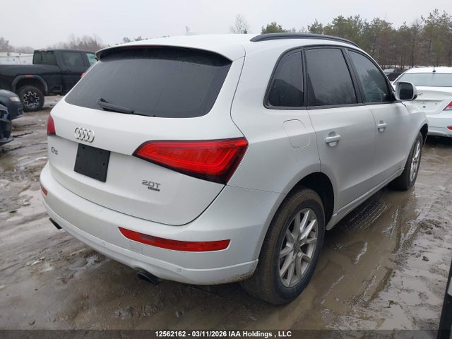 12562162 :رقم المزاد ، WA1CFCFP2DA003395 vin ، 2013 Audi Q5 2.0t مزاد بيع