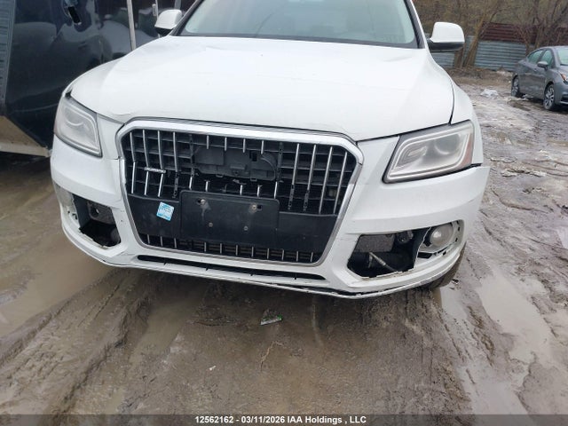 12562162 :رقم المزاد ، WA1CFCFP2DA003395 vin ، 2013 Audi Q5 2.0t مزاد بيع