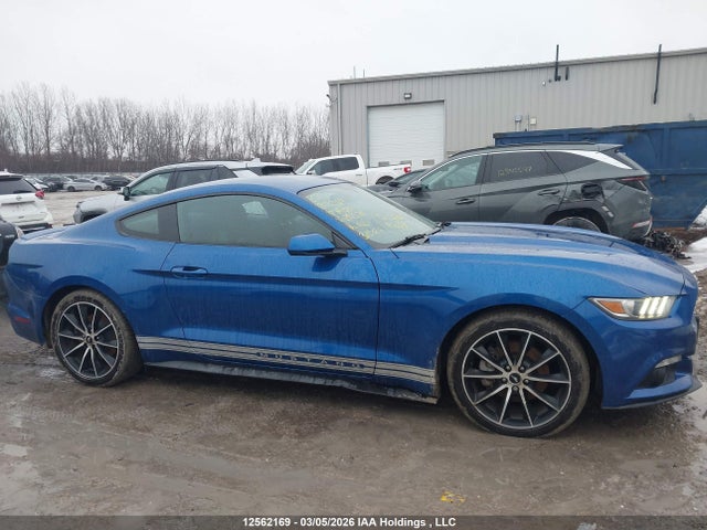 2017 Ford Mustang მანქანა იყიდება აუქციონზე, vin: 1FA6P8TH6H5288374, აუქციონის ნომერი: 12562169
