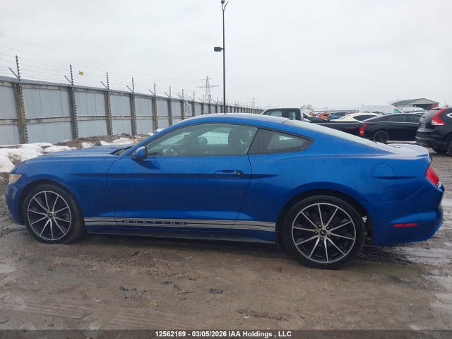 2017 Ford Mustang მანქანა იყიდება აუქციონზე, vin: 1FA6P8TH6H5288374, აუქციონის ნომერი: 12562169