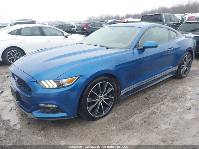 2017 Ford Mustang მანქანა იყიდება აუქციონზე, vin: 1FA6P8TH6H5288374, აუქციონის ნომერი: 12562169