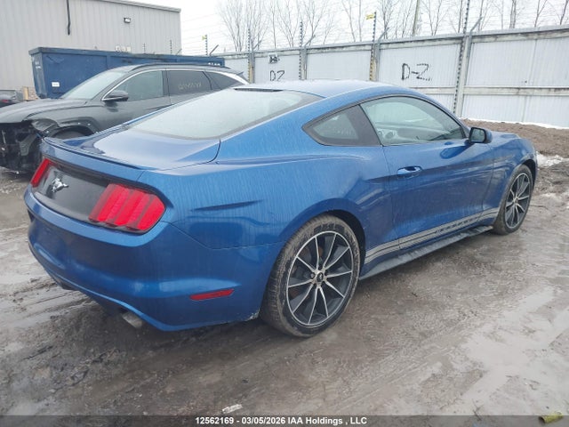 2017 Ford Mustang მანქანა იყიდება აუქციონზე, vin: 1FA6P8TH6H5288374, აუქციონის ნომერი: 12562169
