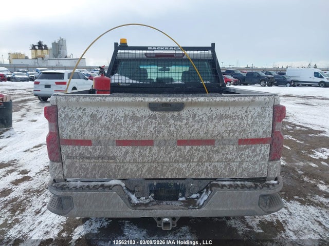 1GCPYAEHXLZ179479 Chevrolet Silverado K1500