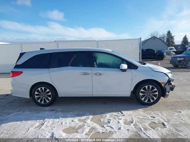2023 Honda Odyssey Exl მანქანა იყიდება აუქციონზე, vin: 5FNRL6H6XPB503380, აუქციონის ნომერი: 12562224