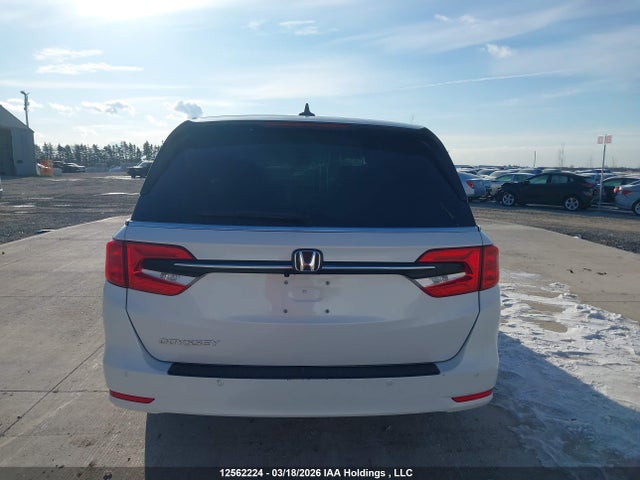 2023 Honda Odyssey Exl მანქანა იყიდება აუქციონზე, vin: 5FNRL6H6XPB503380, აუქციონის ნომერი: 12562224