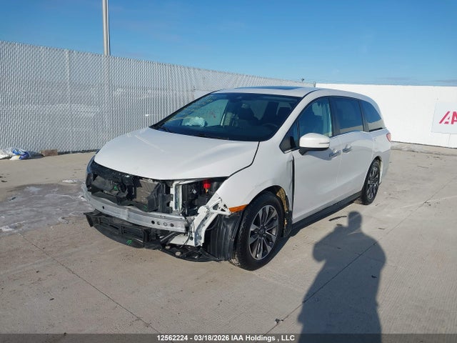 2023 Honda Odyssey Exl მანქანა იყიდება აუქციონზე, vin: 5FNRL6H6XPB503380, აუქციონის ნომერი: 12562224