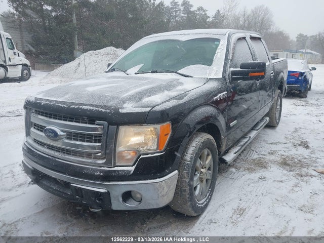12562229 :رقم المزاد ، 1FTFW1ET6EFA51167 vin ، 2014 Ford F150 Supercrew مزاد بيع
