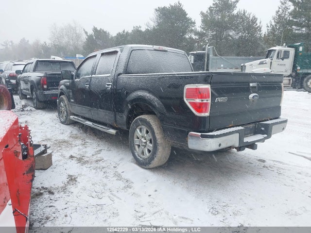 12562229 :رقم المزاد ، 1FTFW1ET6EFA51167 vin ، 2014 Ford F150 Supercrew مزاد بيع