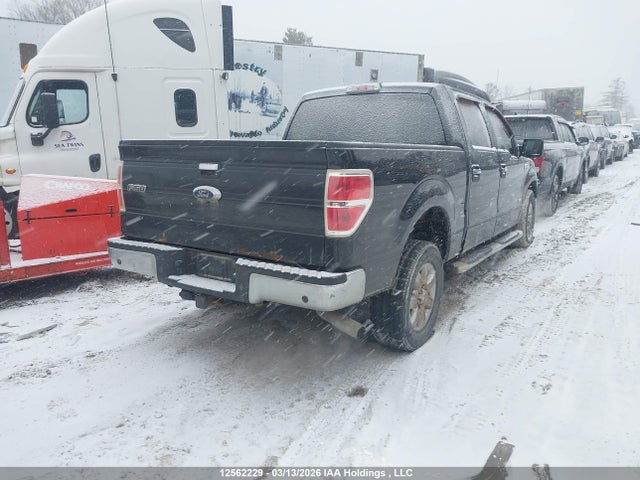 12562229 :رقم المزاد ، 1FTFW1ET6EFA51167 vin ، 2014 Ford F150 Supercrew مزاد بيع