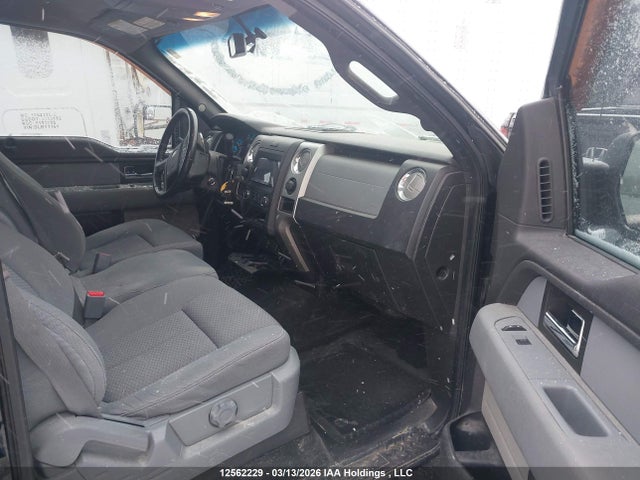 12562229 :رقم المزاد ، 1FTFW1ET6EFA51167 vin ، 2014 Ford F150 Supercrew مزاد بيع