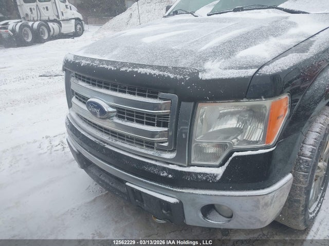 12562229 :رقم المزاد ، 1FTFW1ET6EFA51167 vin ، 2014 Ford F150 Supercrew مزاد بيع