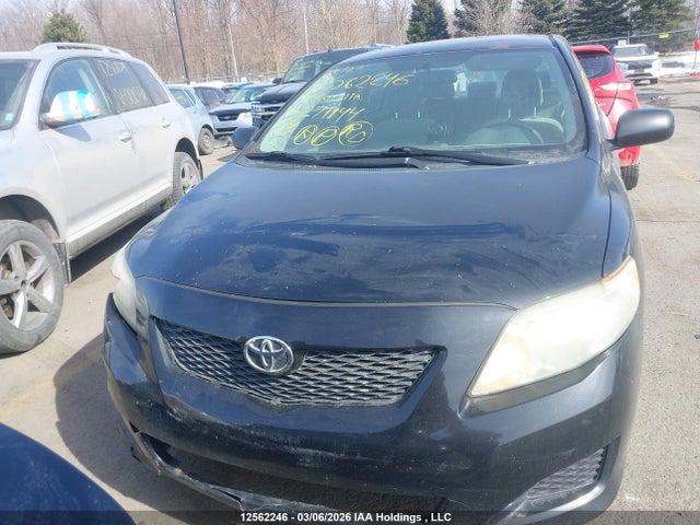 12562246 :رقم المزاد ، 2T1BU4EE5AC271944 vin ، 2010 Toyota Corolla مزاد بيع