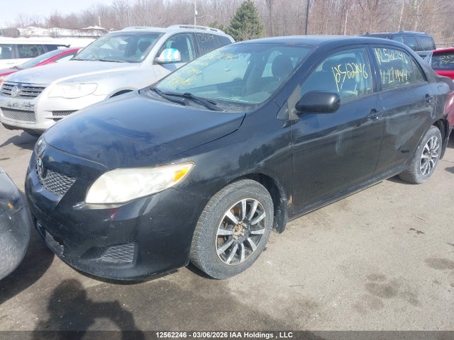 12562246 :رقم المزاد ، 2T1BU4EE5AC271944 vin ، 2010 Toyota Corolla مزاد بيع
