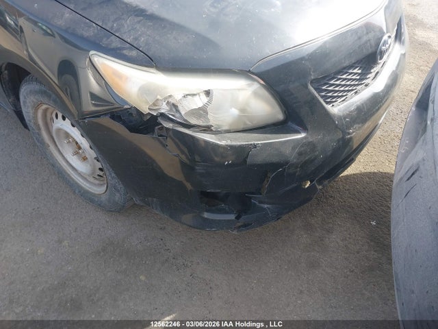 12562246 :رقم المزاد ، 2T1BU4EE5AC271944 vin ، 2010 Toyota Corolla مزاد بيع
