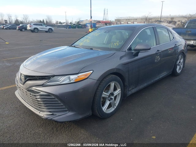 4T1B11HK3JU004244 Toyota CAMRY XLE
