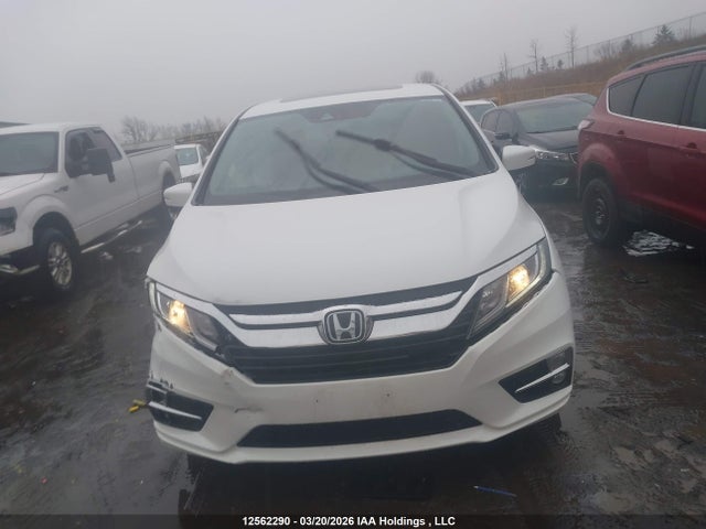 Продаж на аукціоні авто 2020 Honda Odyssey Exl, vin: 5FNRL6H66LB505539, номер лоту: 12562290