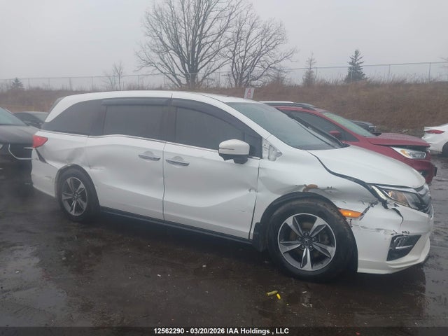 Продаж на аукціоні авто 2020 Honda Odyssey Exl, vin: 5FNRL6H66LB505539, номер лоту: 12562290