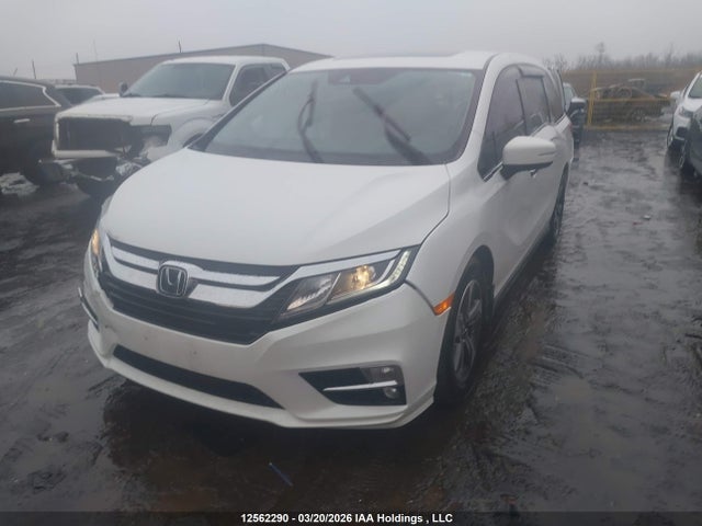 Продаж на аукціоні авто 2020 Honda Odyssey Exl, vin: 5FNRL6H66LB505539, номер лоту: 12562290