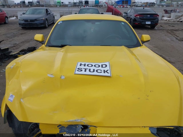 Продаж на аукціоні авто 2017 Ford Mustang, vin: 1FA6P8TH8H5321360, номер лоту: 12562310