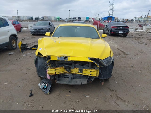 Продаж на аукціоні авто 2017 Ford Mustang, vin: 1FA6P8TH8H5321360, номер лоту: 12562310