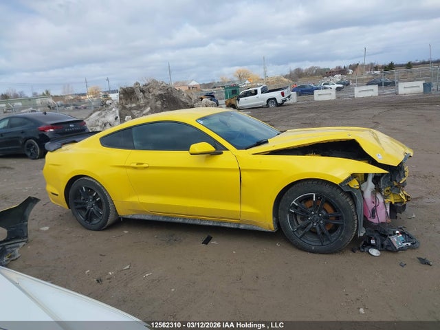 Продаж на аукціоні авто 2017 Ford Mustang, vin: 1FA6P8TH8H5321360, номер лоту: 12562310