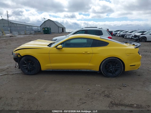 Продаж на аукціоні авто 2017 Ford Mustang, vin: 1FA6P8TH8H5321360, номер лоту: 12562310