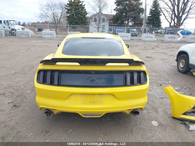 Продаж на аукціоні авто 2017 Ford Mustang, vin: 1FA6P8TH8H5321360, номер лоту: 12562310
