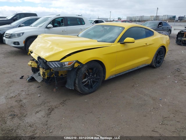 Продаж на аукціоні авто 2017 Ford Mustang, vin: 1FA6P8TH8H5321360, номер лоту: 12562310