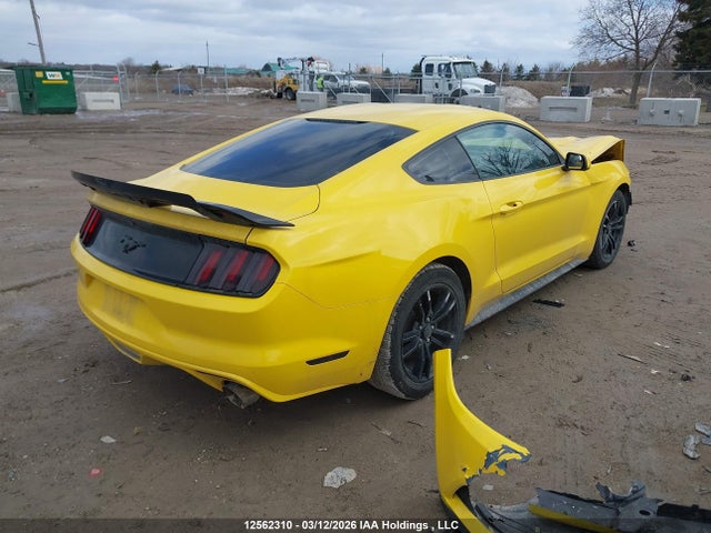 Продаж на аукціоні авто 2017 Ford Mustang, vin: 1FA6P8TH8H5321360, номер лоту: 12562310