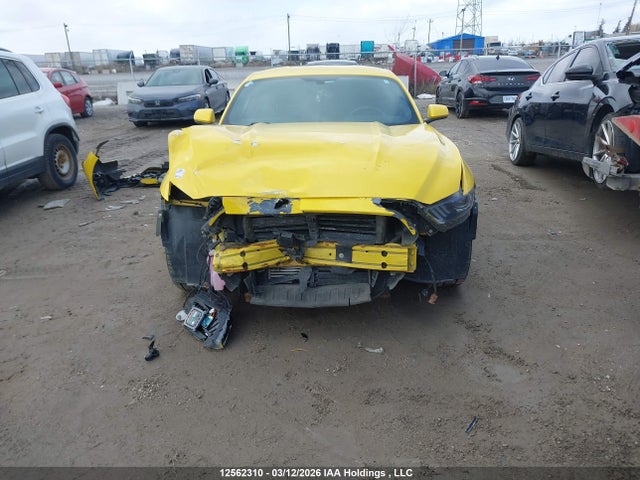 Продаж на аукціоні авто 2017 Ford Mustang, vin: 1FA6P8TH8H5321360, номер лоту: 12562310