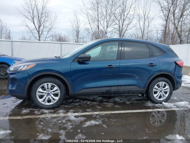 2020 Ford Escape S მანქანა იყიდება აუქციონზე, vin: 1FMCU0F67LUA16749, აუქციონის ნომერი: 12562343