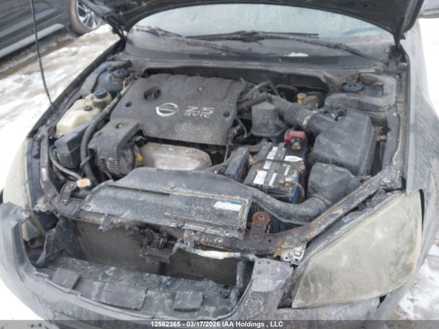 2006 Nissan Altima S/sl მანქანა იყიდება აუქციონზე, vin: 1N4AL11D86C213018, აუქციონის ნომერი: 12562365