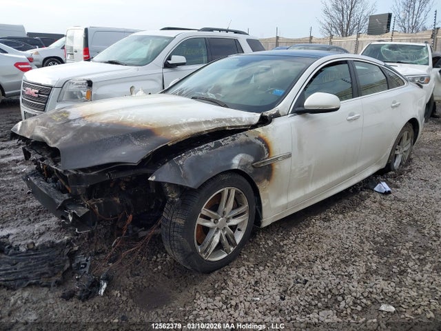 12562379 :رقم المزاد ، SAJXJ1CD7F8V84215 vin ، 2015 Jaguar Xj مزاد بيع