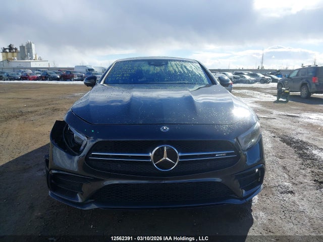 WDD2J6BB7LA051040 Mercedes-Benz Cls Amg 53 4matic