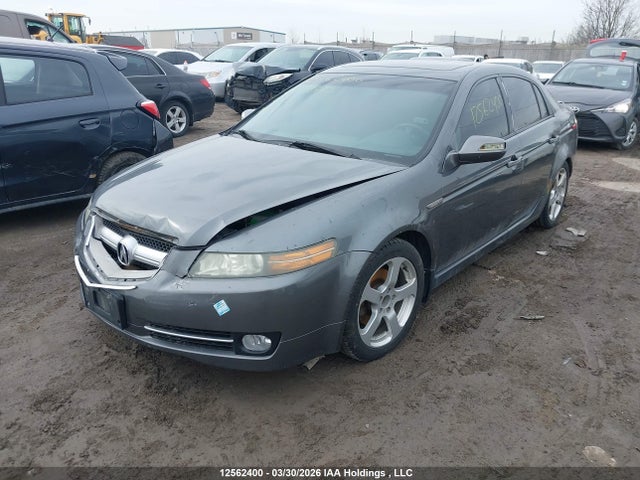 2008 Acura Tl მანქანა იყიდება აუქციონზე, vin: 19UUA66298A803715, აუქციონის ნომერი: 12562400