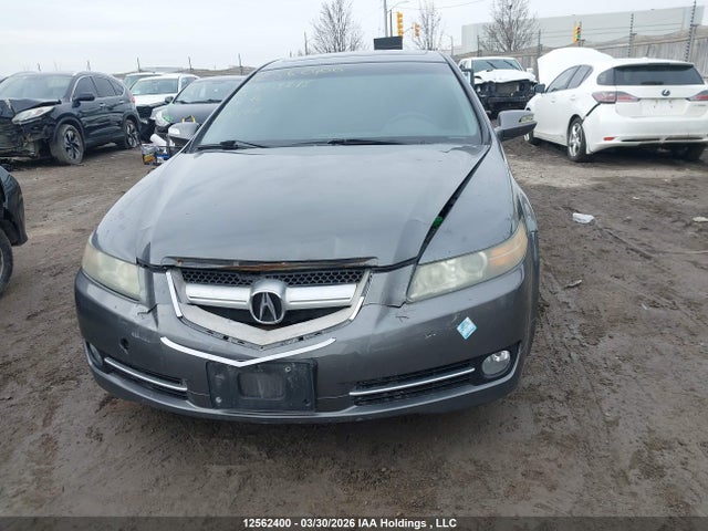 2008 Acura Tl მანქანა იყიდება აუქციონზე, vin: 19UUA66298A803715, აუქციონის ნომერი: 12562400