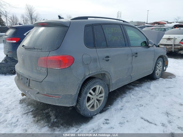 WVGJV7AX0FW523370 Volkswagen Tiguan Comfortline/highline/special Edition/trendline